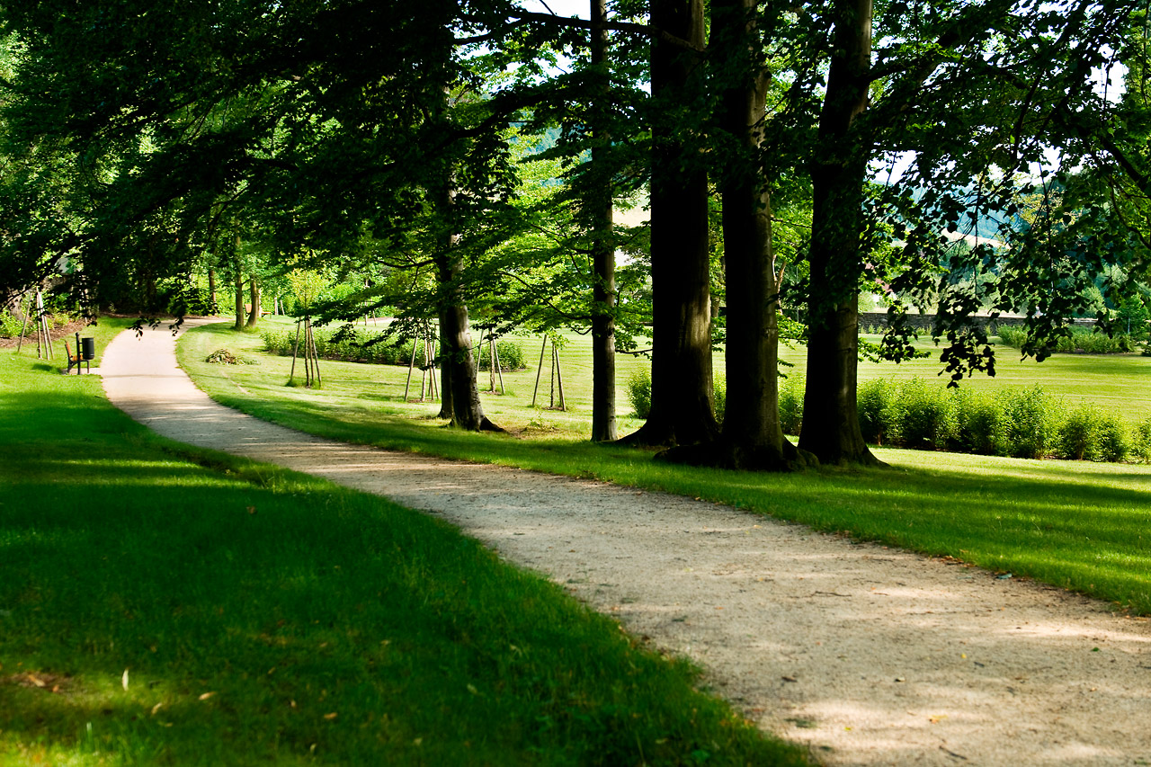 Park kolem školních skleníku